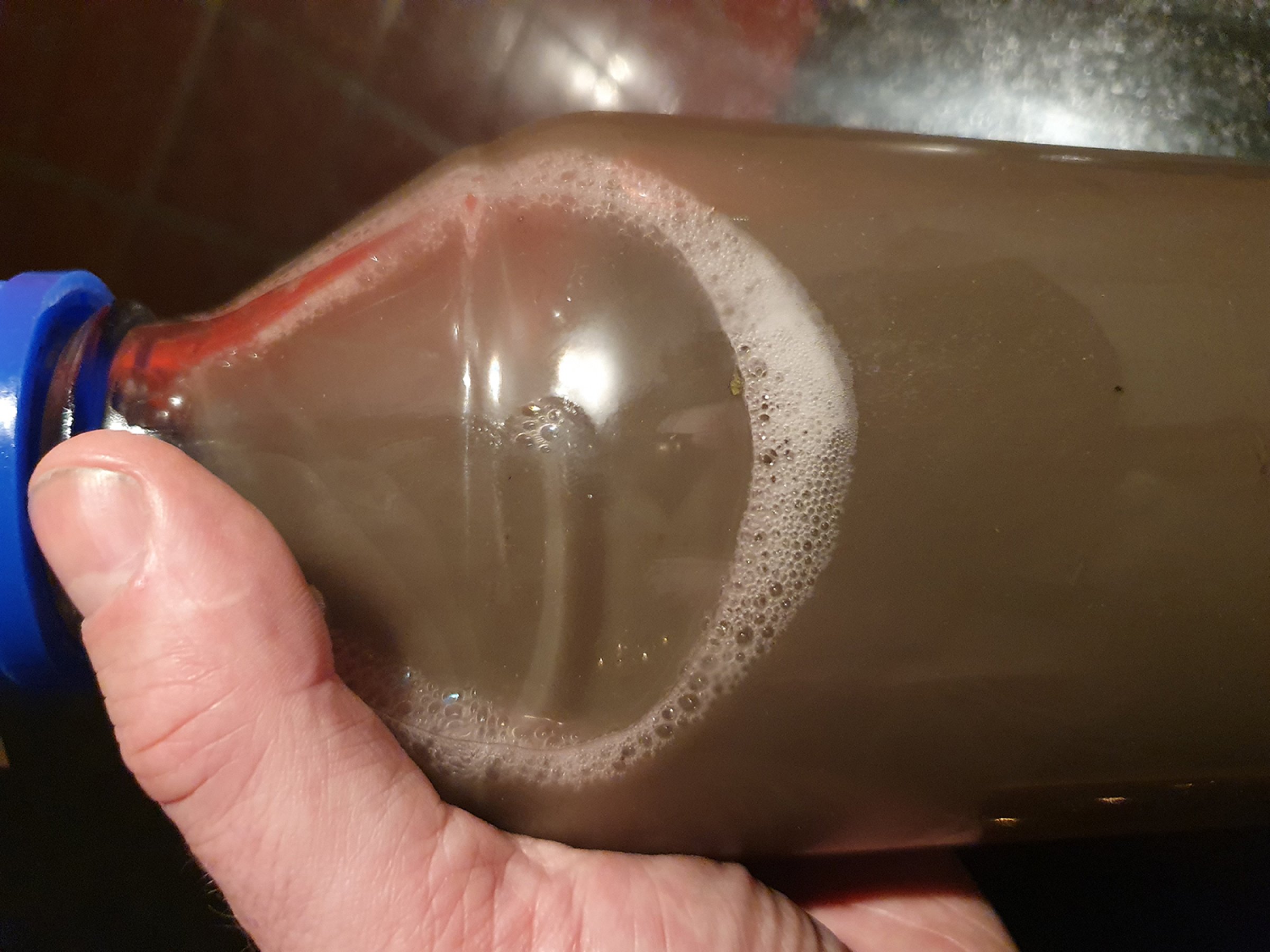 Vannprøve hentet fra vaskevann etter tunellvask av Stavsjøfjelltunellen. Forskeren har gjort noen urovekkende funn i en forundersøkelsen av vannprøver fra avrenning fra veinett. foto Anders Foldvik, NINA