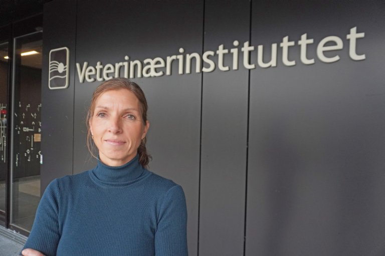 Ny avdelingsdirektør Thea Blystad Klem ved Veterinærinstituttet ønskjer å styrkje heilskapen gjennom betre utnytting av data, meir tverrfaglegheit og smartare samhandling. Foto: Bryndis Holm, Veterinærinstituttet