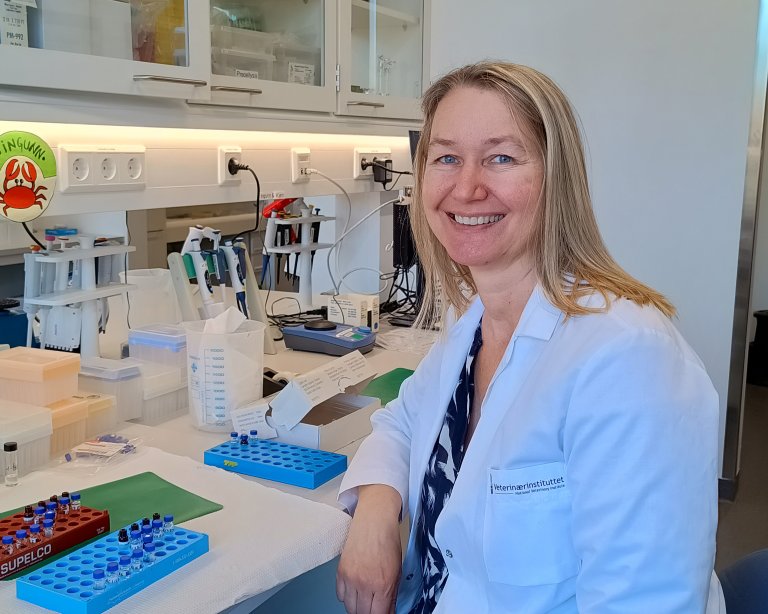 Forsker Ingunn Anita Samdal leder ShellFeed-prosjektet. Foto: Kjersti Løvberg, Veterinærinstituttet