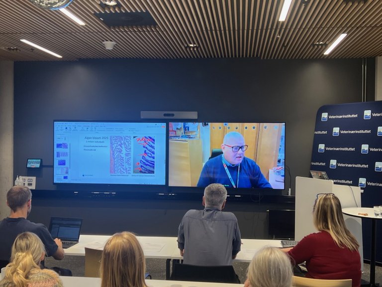 Det var totalt over 100 deltakarar frå fleire land på seminaret. Foto: Bryndis Holm