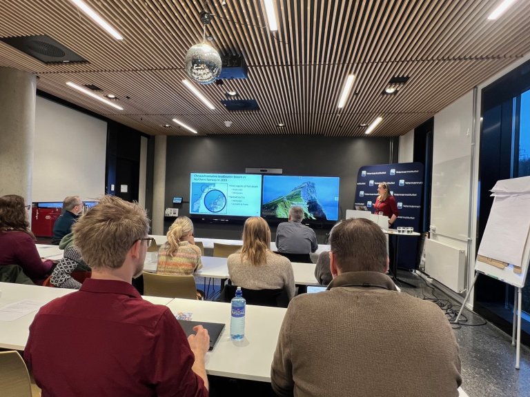 Resultata frå prosjektet ToxANoWa blei presenterte på eit ope seminar 16. desember 2025. Prosjektet, som blir leidd av seniorsforsker Ingunn Anita Samdal, blir avslutta i 2025. Foto: Bryndis Holm