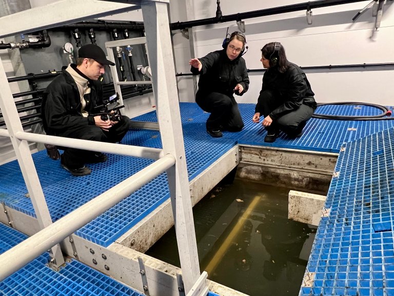 Filmen syner kor nitid og systematisk ein jobbar med forsking, diagnostikk og innovasjon i jakta på dødelege bakteriar i komplekse, landbaserte oppdrettsanlegg. Foto: Asle Haukaas, Veterinærinstituttet