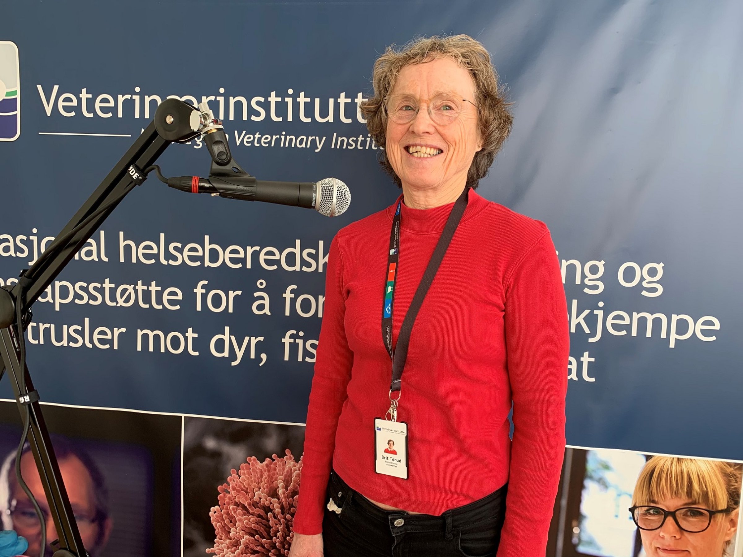 Brit Tørud har sammen med Kristine Vedal Størkersen i NTNU Samfunnsforskning jobbet med å finne ut hva som er viktig for å lykkes med fiskevelferdsarbeidet i settefiskproduksjonen. Foto: Bryndis Holm