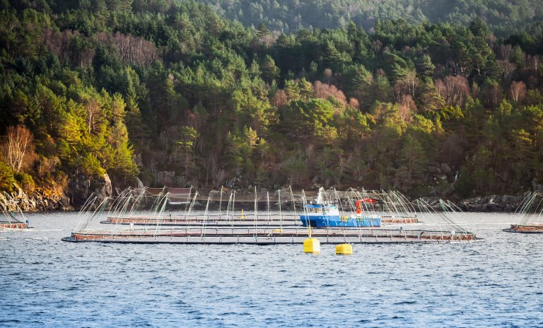 Brønnbåt ved oppdrettsanlegg i Norge. Foto: Colourbox