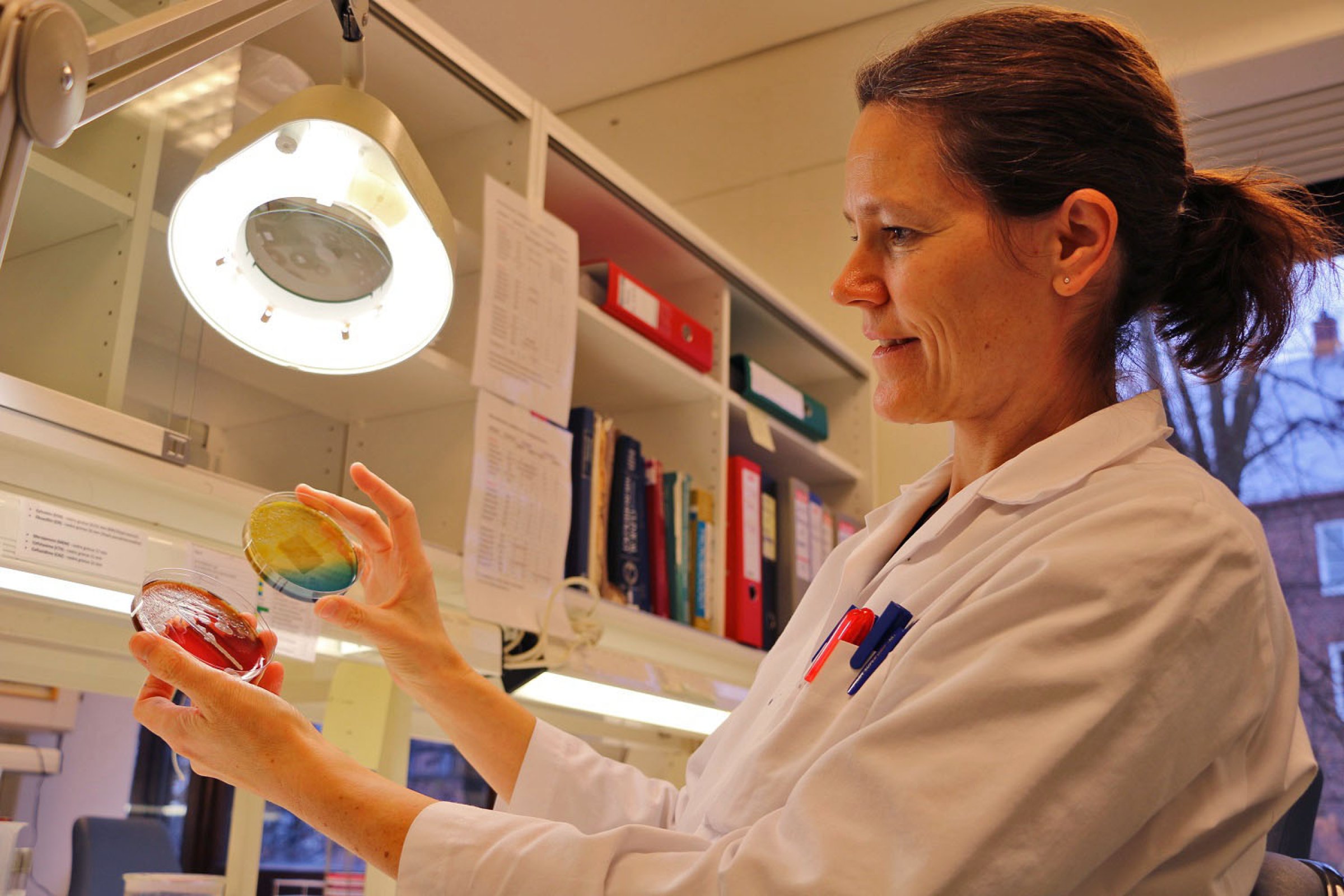 Marianne Gilhuus viser fram prøver dyrket på laboratoriet. Foto: Bryndis Holm