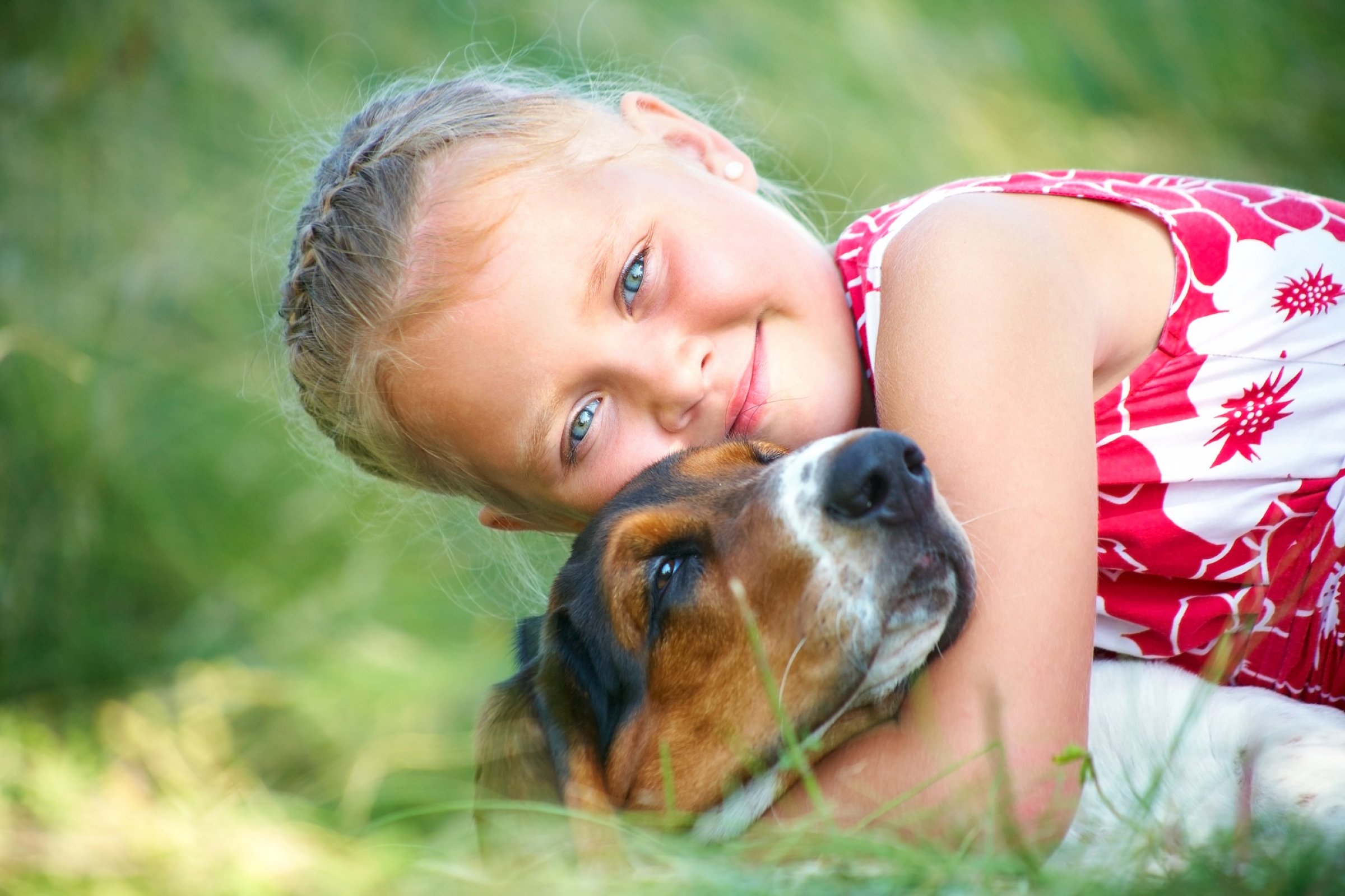 Portrait of cute girl with dog on summer meadow