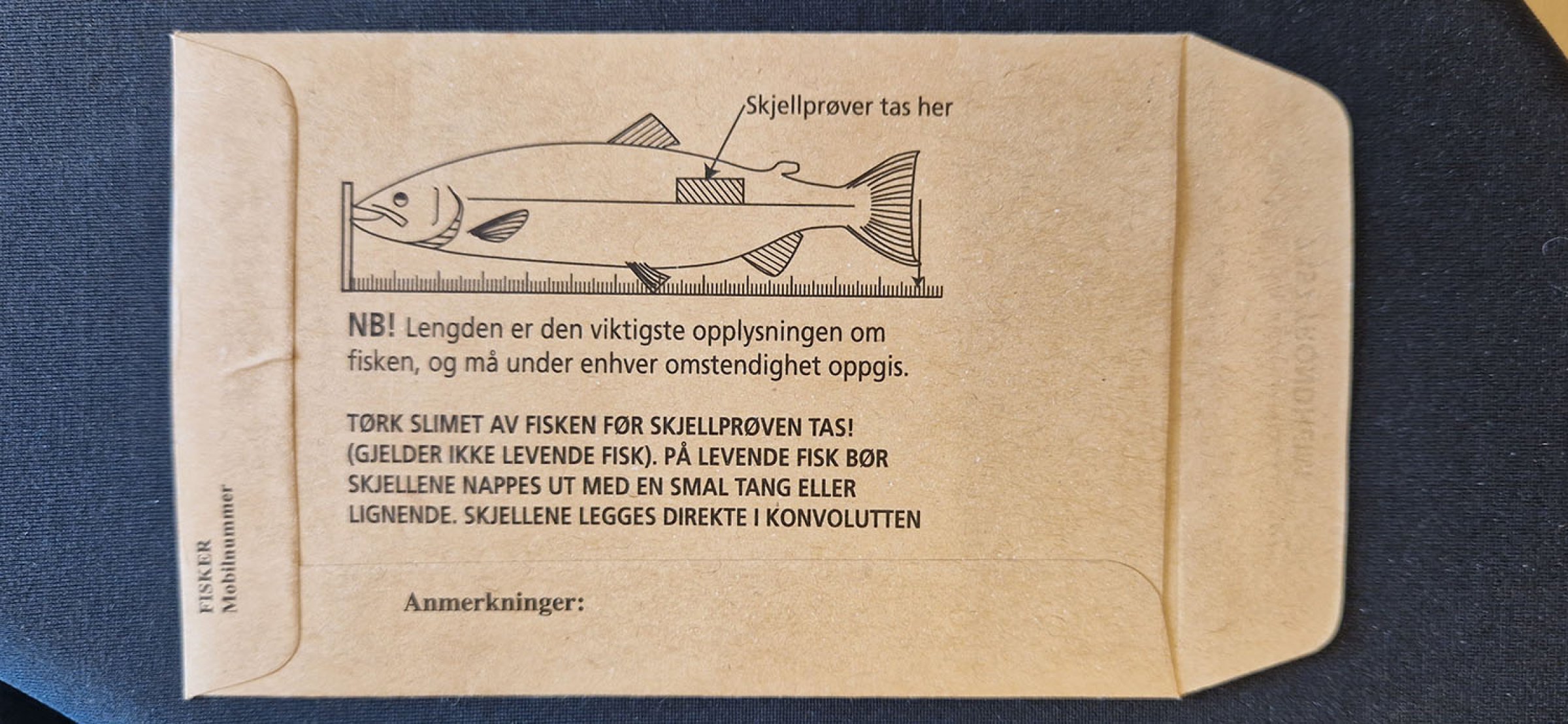 På konvoluttens bakside ser du hvor på fisken skjellene skal tas fra. Foto: Anne Haukland, Veterinærinstituttet