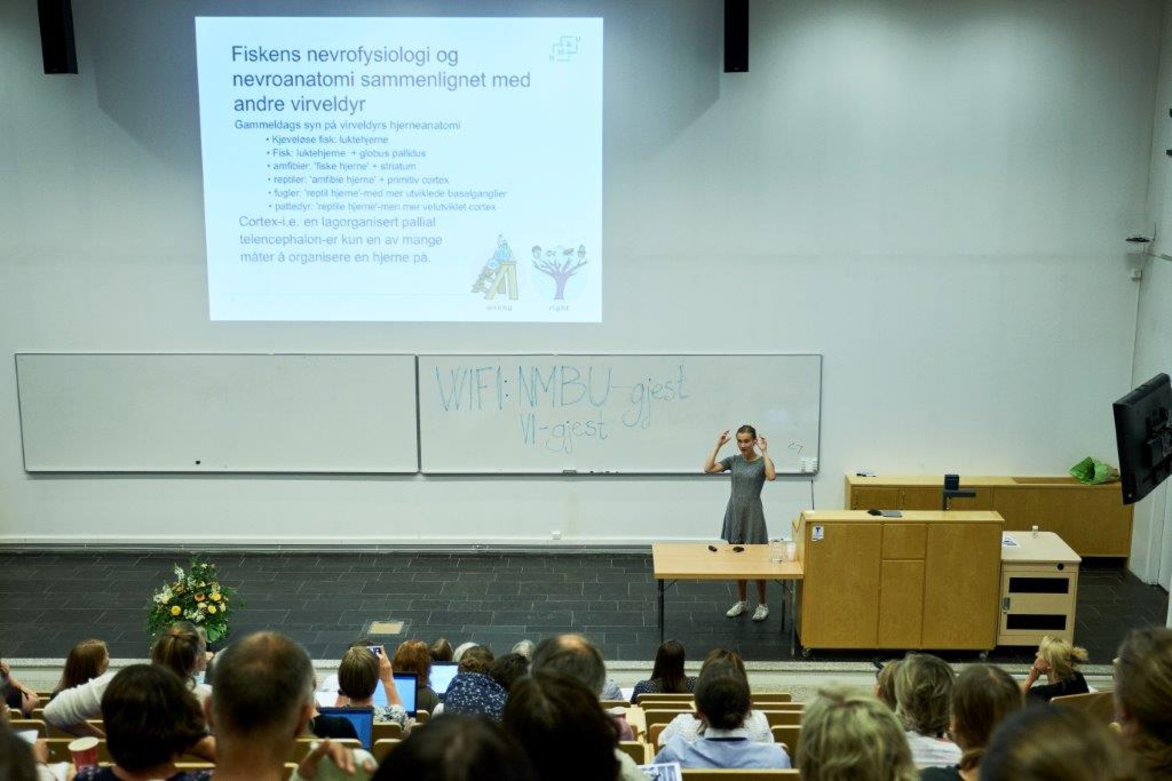 Førsteamanuensis Janicke Nordgreen. Foto: Eivind Røhne