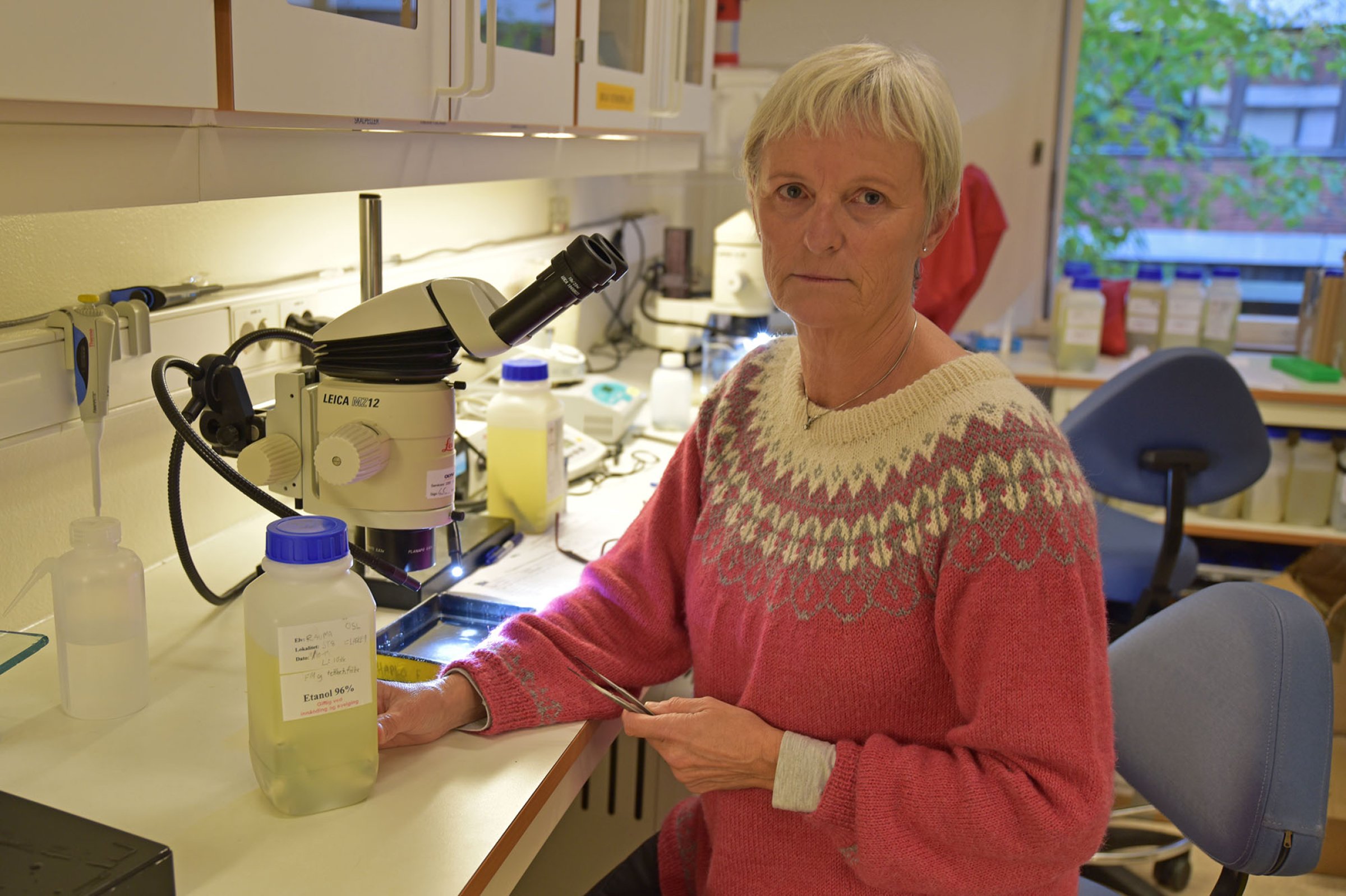 Hilde Welde er én av flere som denne uken er opptatt med å analysere prøver fra Rauma-laks. Foto: Bryndis Holm, Veterinærinstituttet