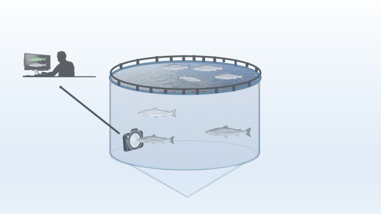 kamerabasert velferdsovervaking i merd-nye moglegheiter for kunnskap