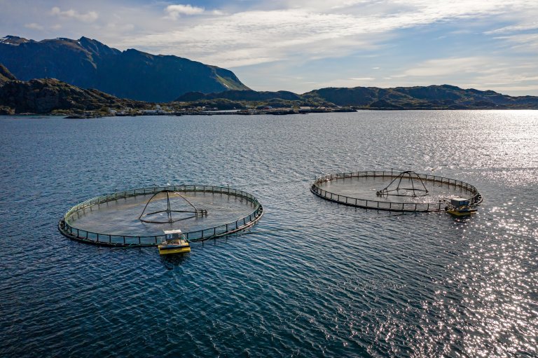 Oppdrettsanlegg. Illustrasjonsfoto: Colourbox