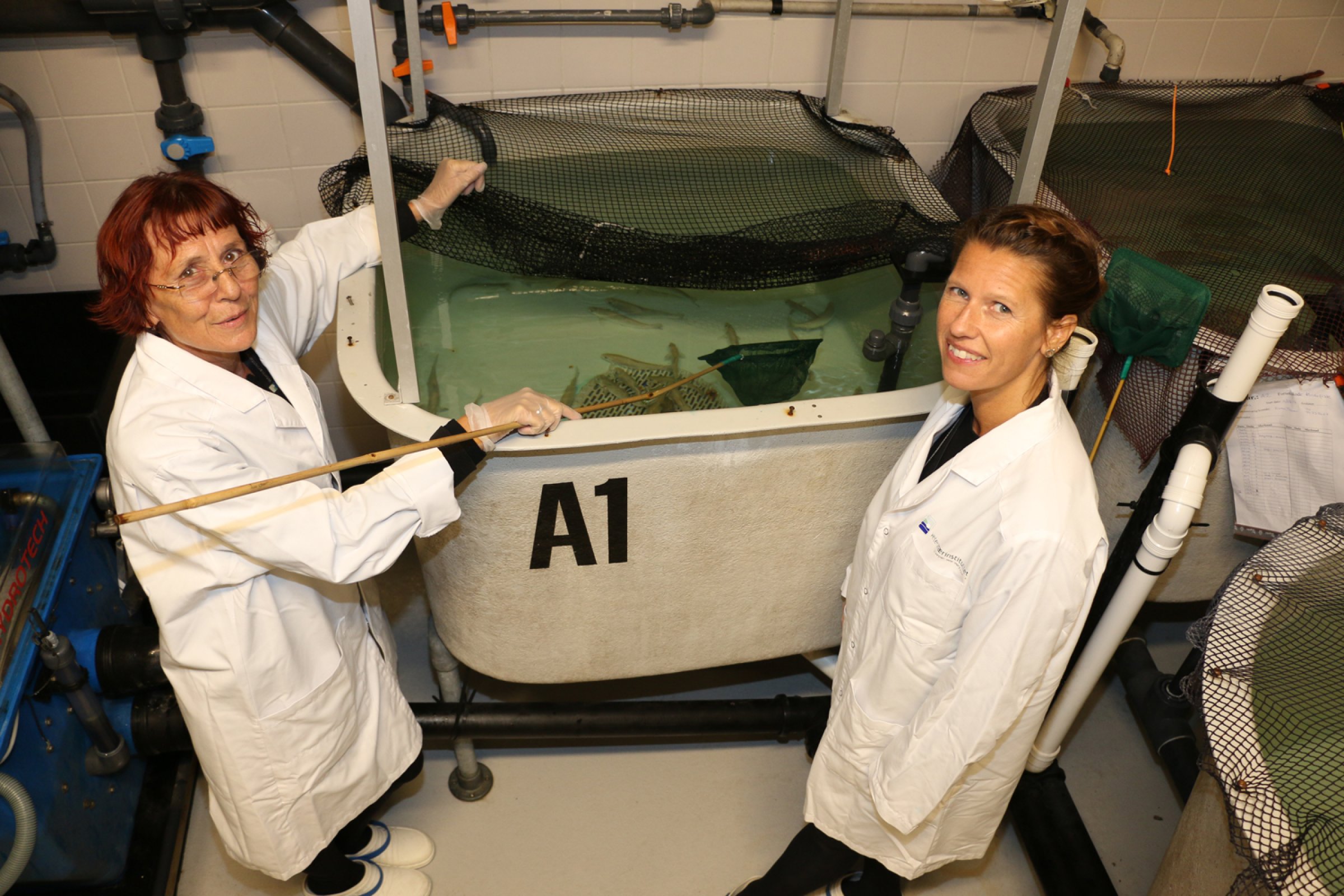 To forskere foran et fiskekar i et fiskelaboratorie