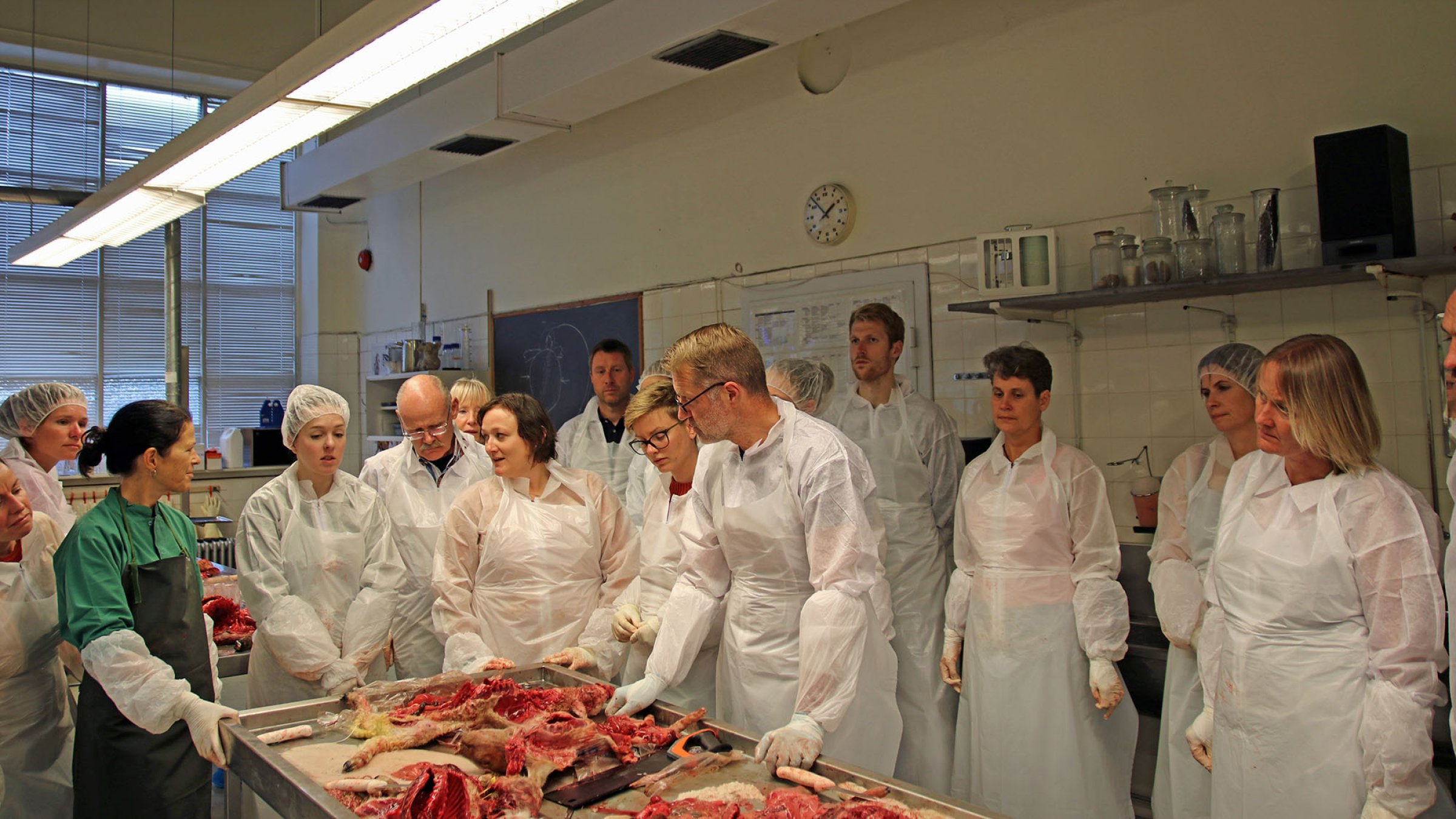 Foto: Ingunn Ruud, Veterinærinstituttet