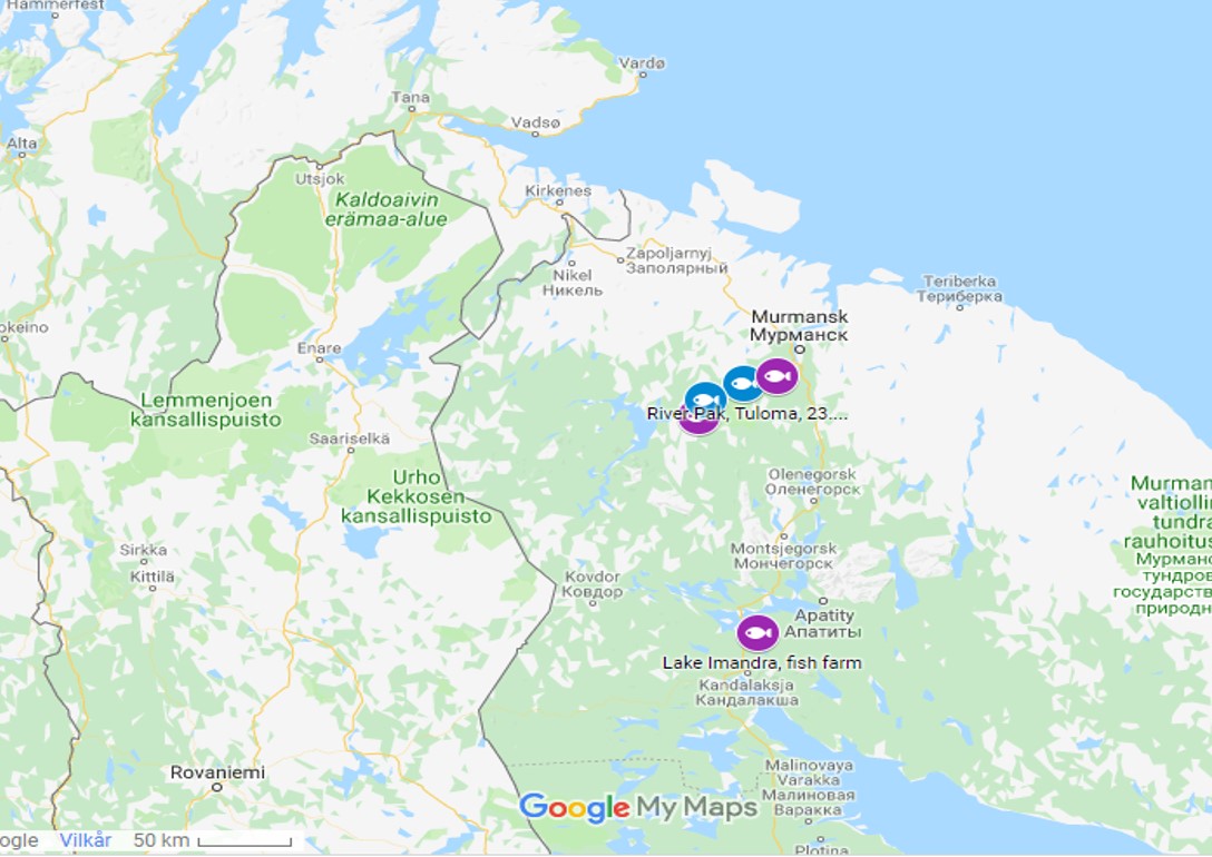 Kartet viser lokaliteter i det nordlige Russland hvor G. salaris ble påvist.