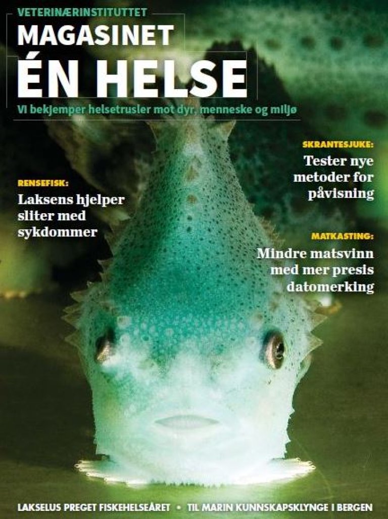 Skjermbilde.JPG