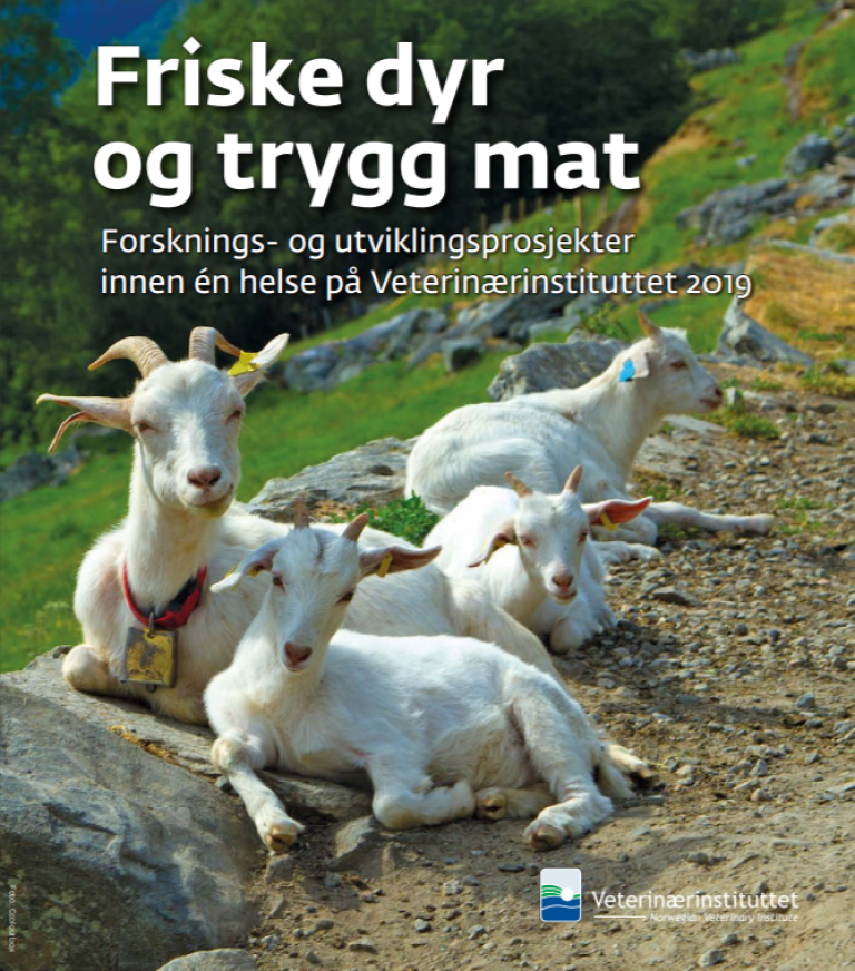 Forside Friske dyr og trygg mat 2020.PNG