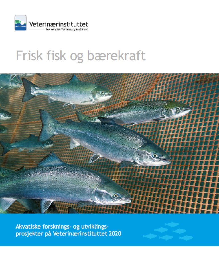 Forside Frisk fisk og Bærekraft 2020.jpg