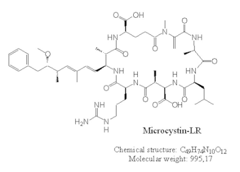 Microcystin-LR modell.jpg