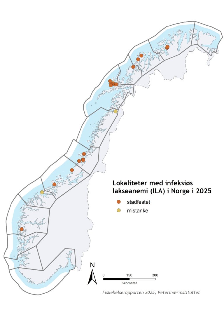 Kart over lokaliteter med stadfestet og mistanke om infeksiøs lakseanemi (ILA) i Norge i 2025.