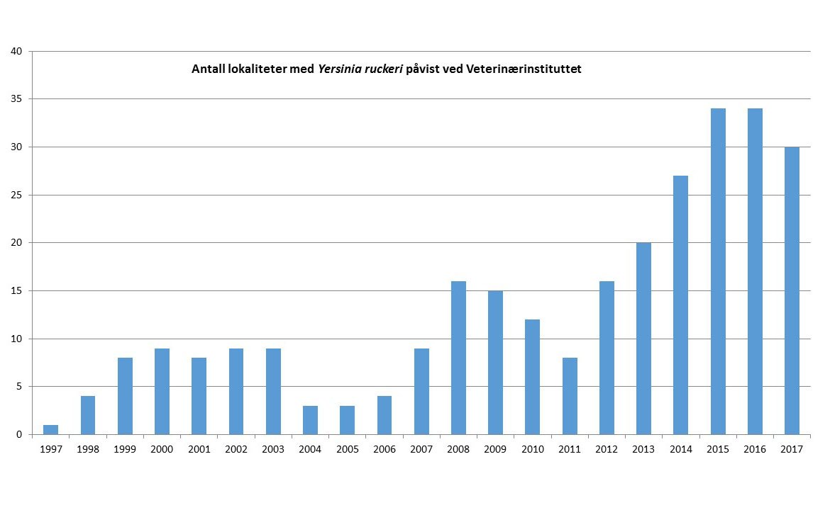 yersiniosestatistikk_fisk.jpg